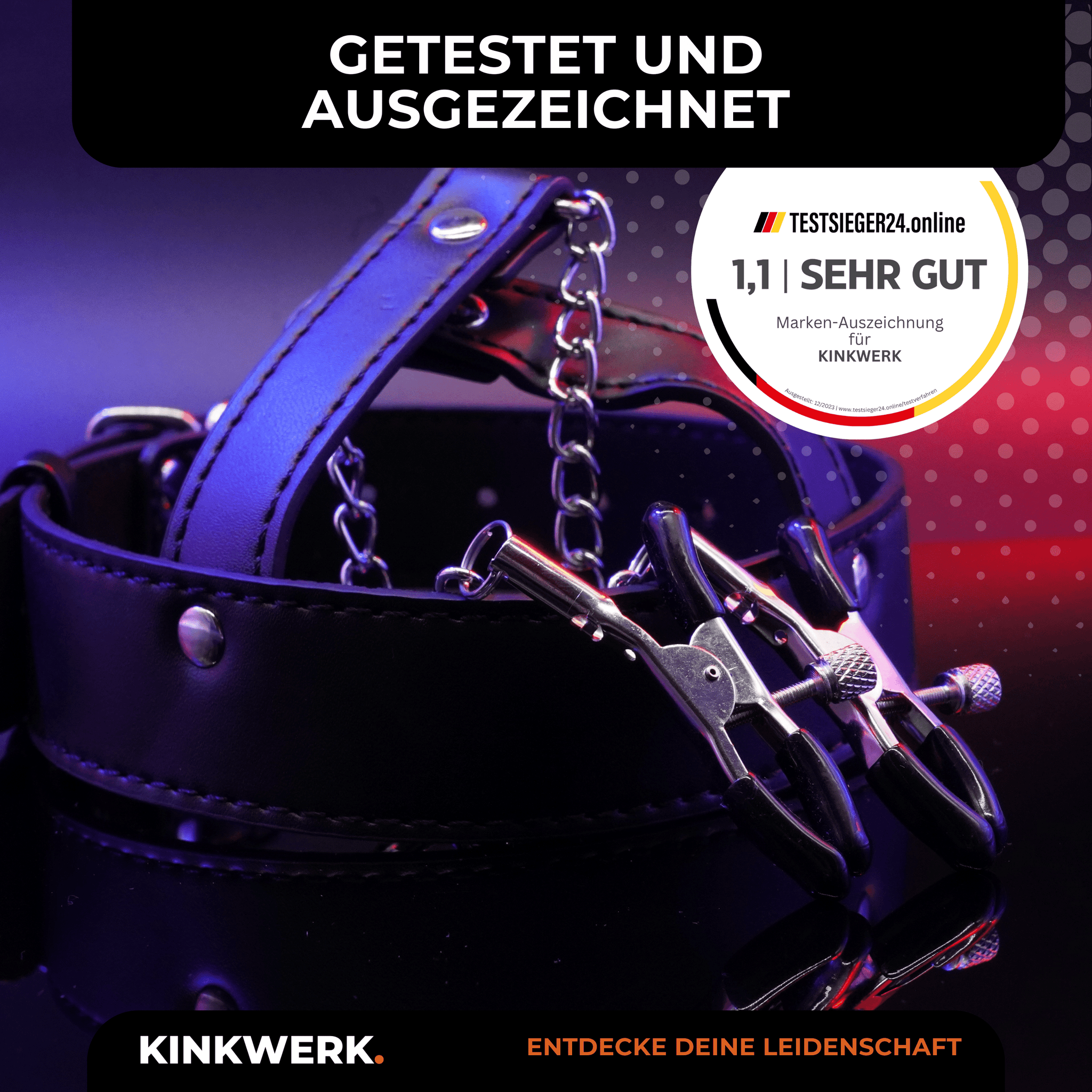 Halsband mit Nippelklemmen